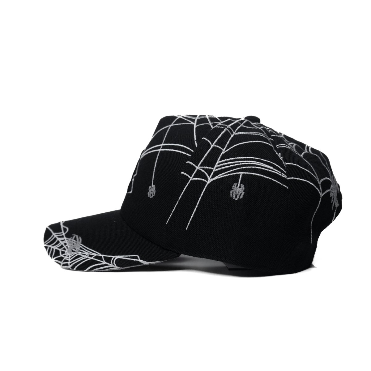 LA Spider
